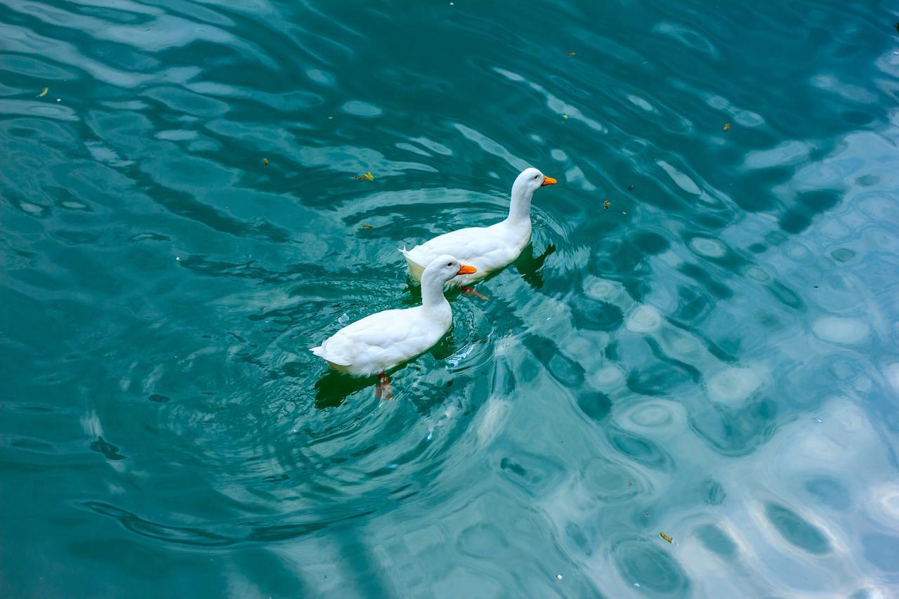 Hotel Amiran'S Lake Tbilisi Zewnętrze zdjęcie