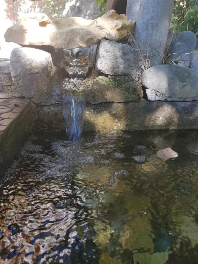 Hotel Amiran'S Lake Tbilisi Zewnętrze zdjęcie